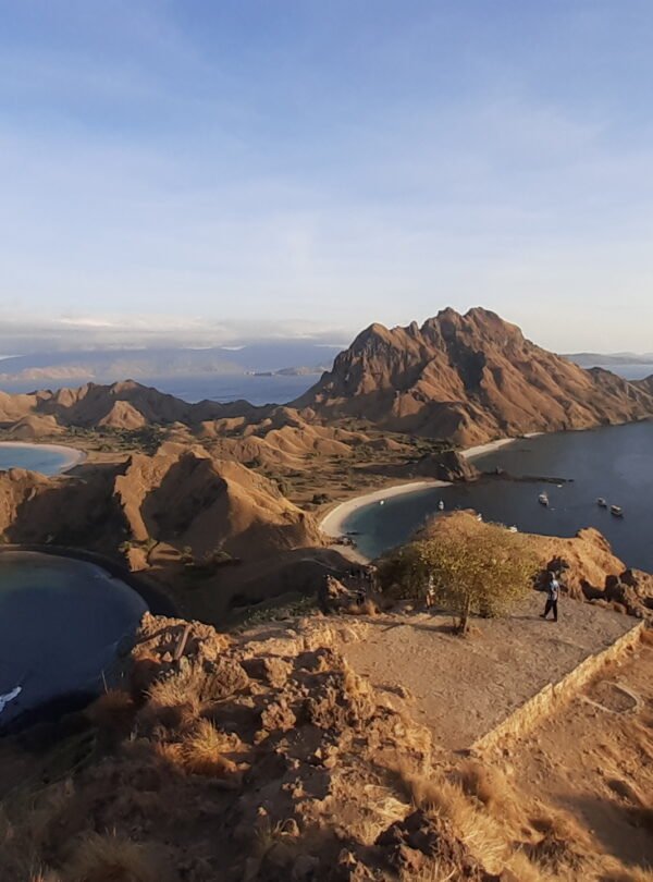 padar island cruise tour