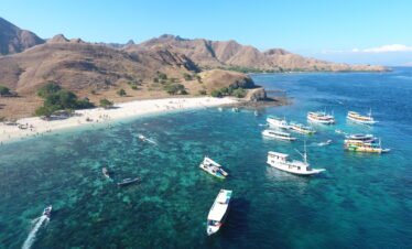 pink beach tour
