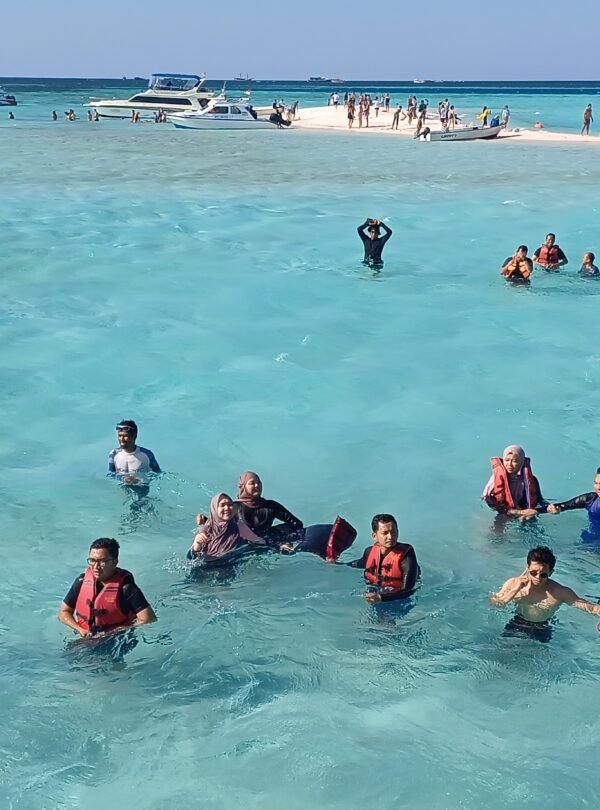 pink beach snorkeling