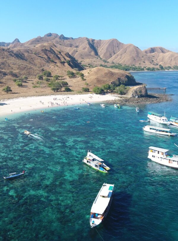 komodo national park tour